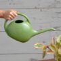 Indoor Watering Can – Green – 0.5 gal